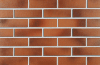 Клинкерный кирпич ROBEN DARWIN NF38